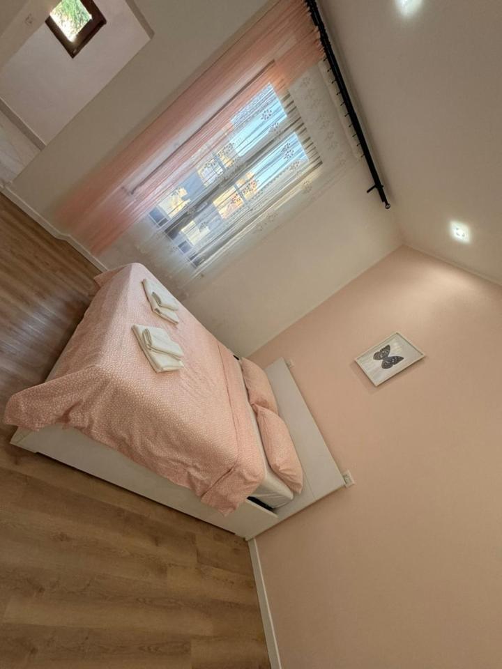 Galileo Pisa住宿加早餐旅馆 外观 照片